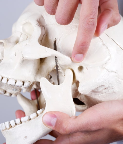 Hand holding an occlusal splint for T M J therapy