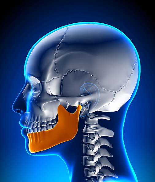 X-ray of person’s head with jaw highlighted